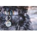 Personalisierte Hundemarke aus Edelstahl mit Hundegesicht